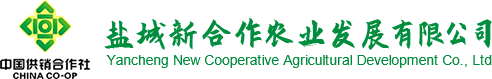 鹽城市強(qiáng)泰精密機(jī)械有限公司